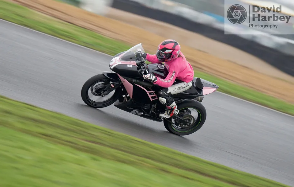 Plum Pudding at Mallory Park