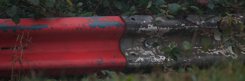 Mallory Park Plum Pudding Races 2024