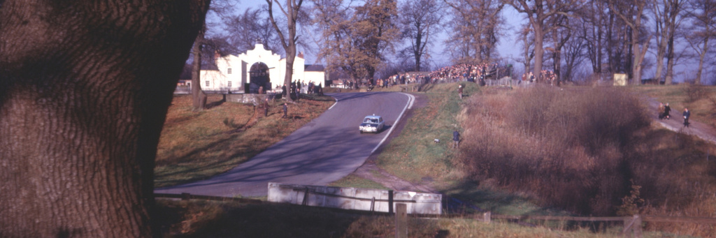 Rally pictures by the fans