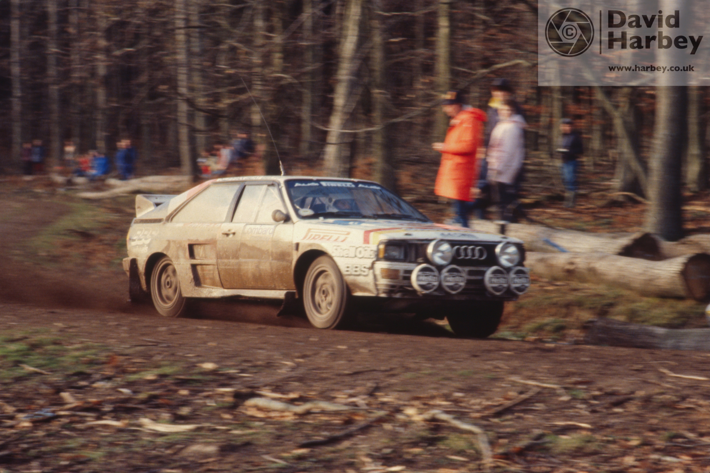 Mikkola Forest of Dean RAC Rally 1984