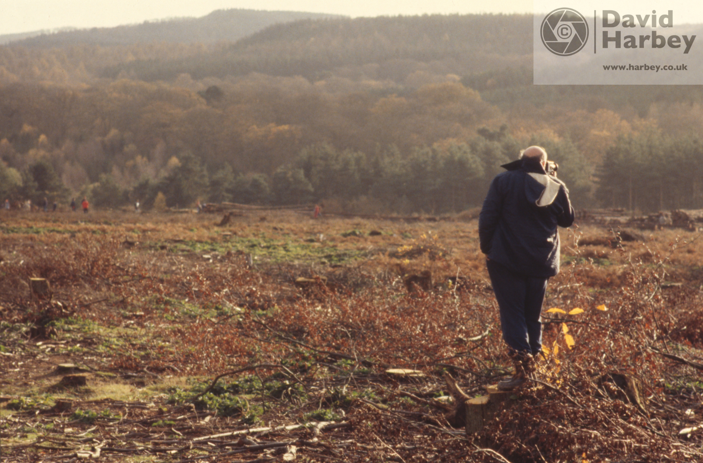 Forest of Dean RAC Rally
