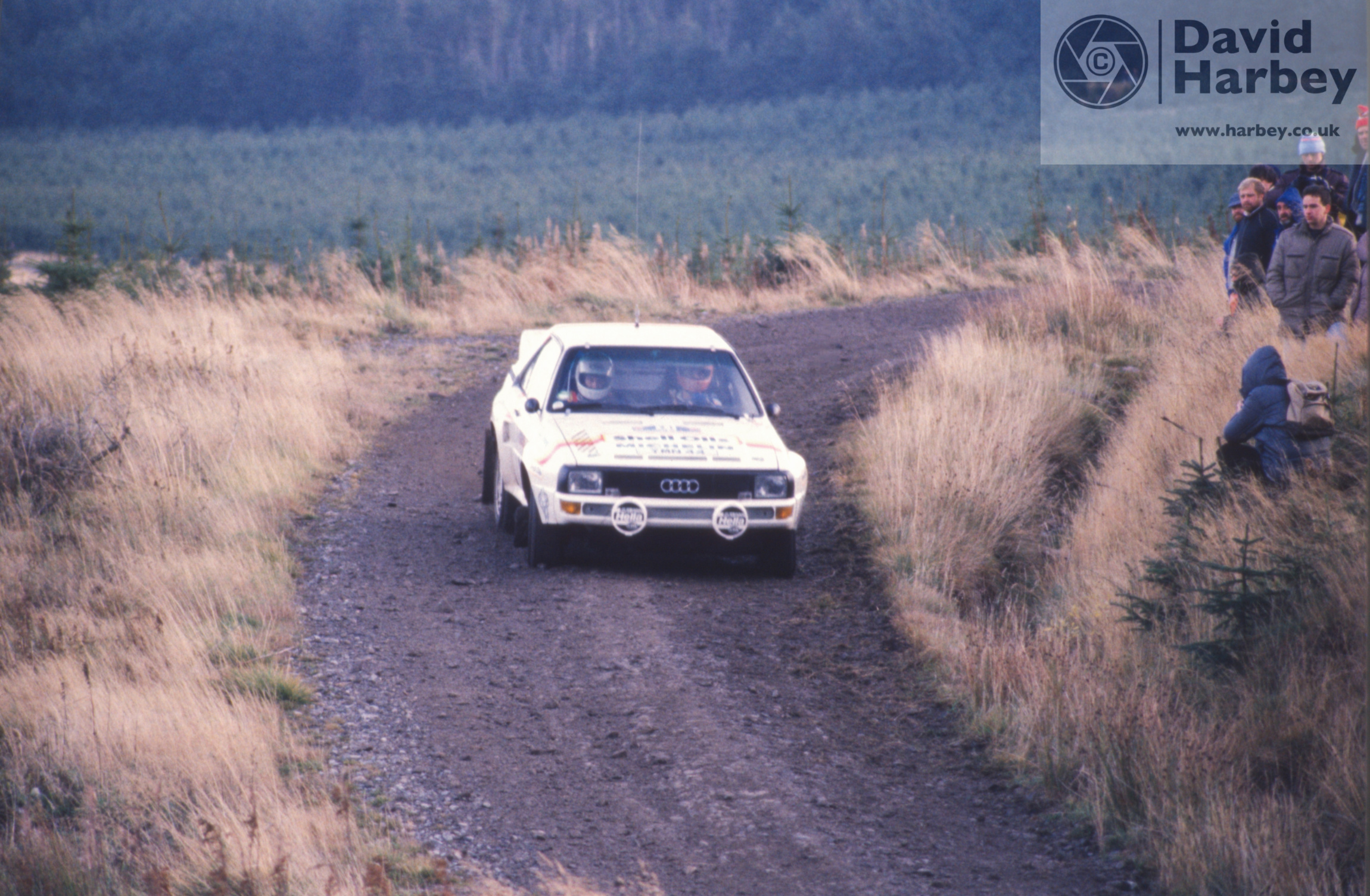 B62 86 ss11 stang 21 demuth