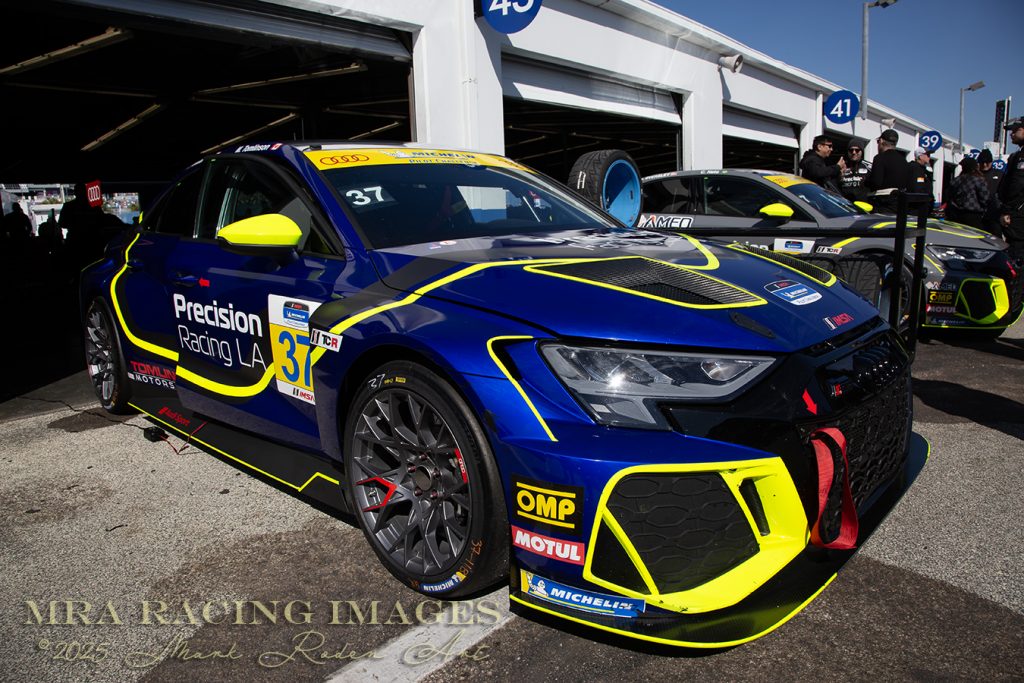 The Rolex 24 Hours of Daytona BMW Endurance Challenge
