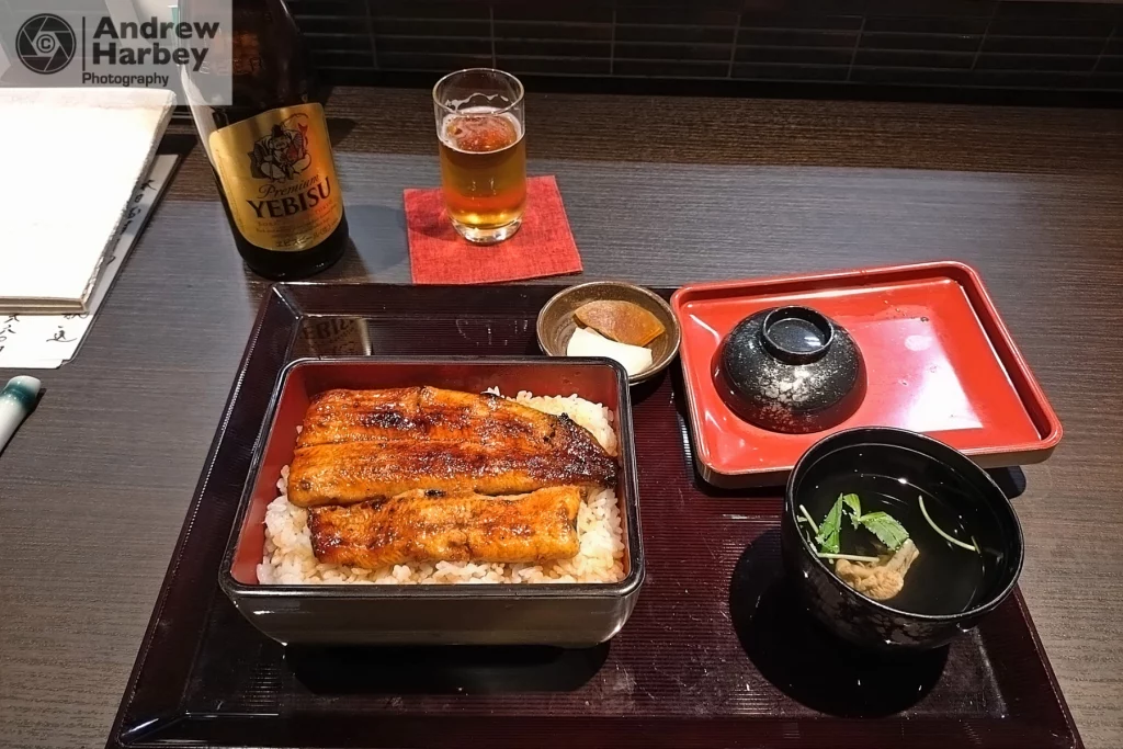 Visiting Japan Part 1 Hamamatsu 