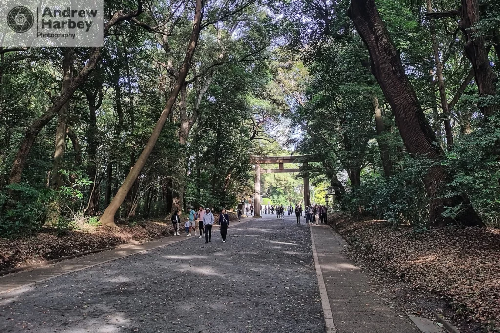 A motorsport enthusiast visits Japan