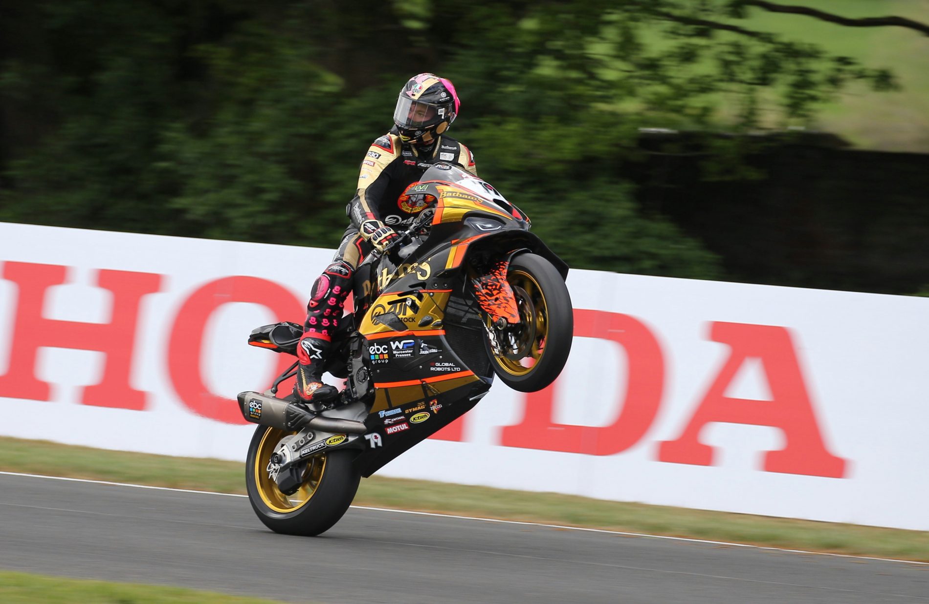 #79 Storm Stacey Bathams AJN Racing BMW