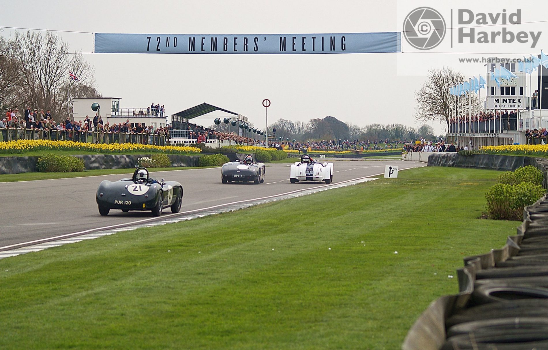 Goodwood Members’ Meeting 72 2014