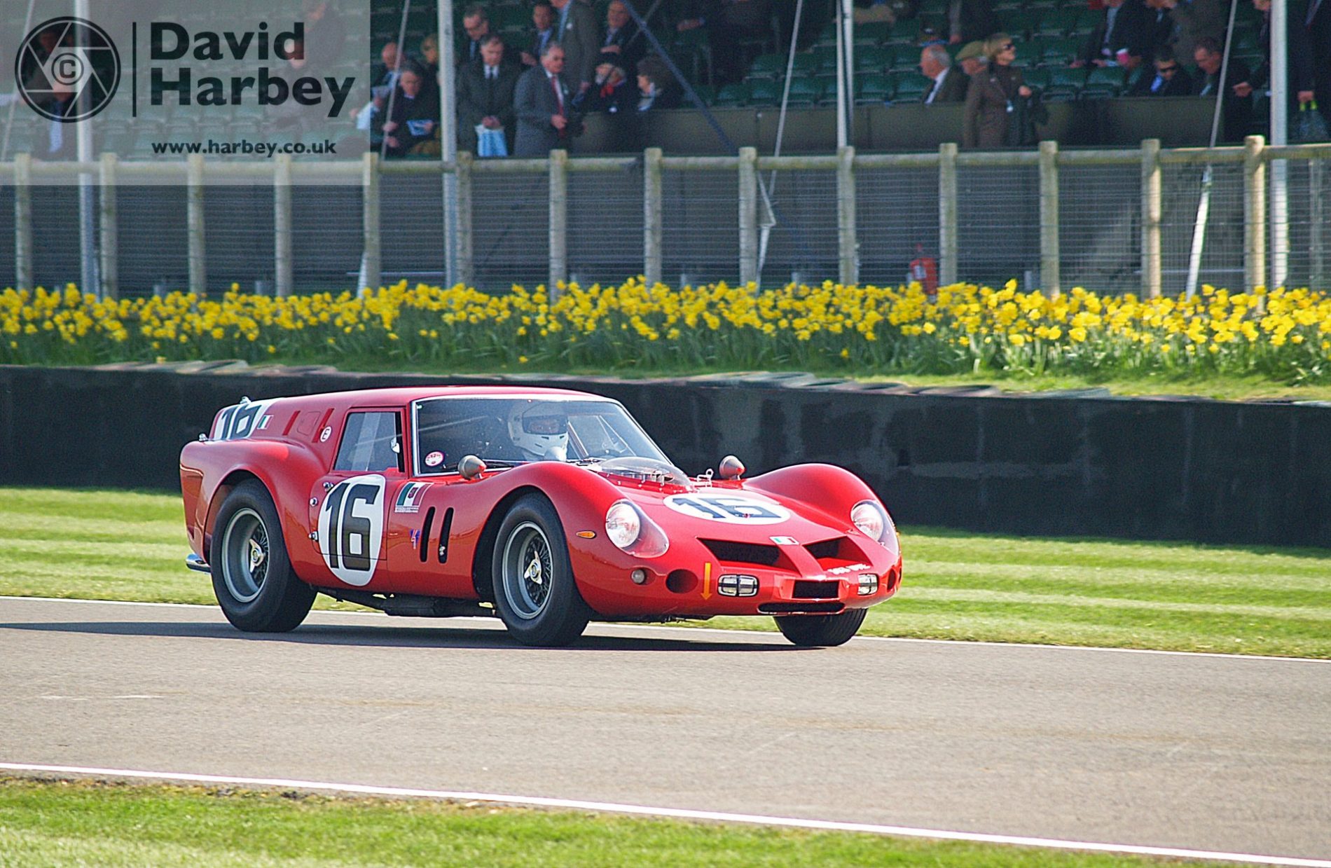 Goodwood Members’ Meeting 72 2014