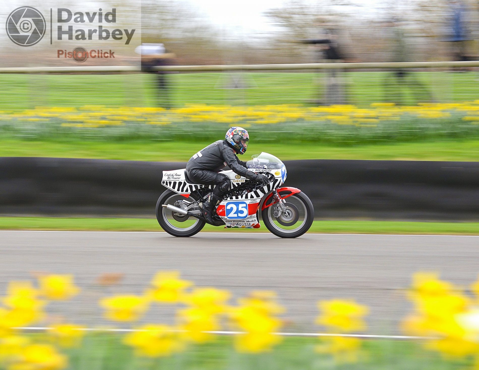 Goodwood Members’ Meeting 2017