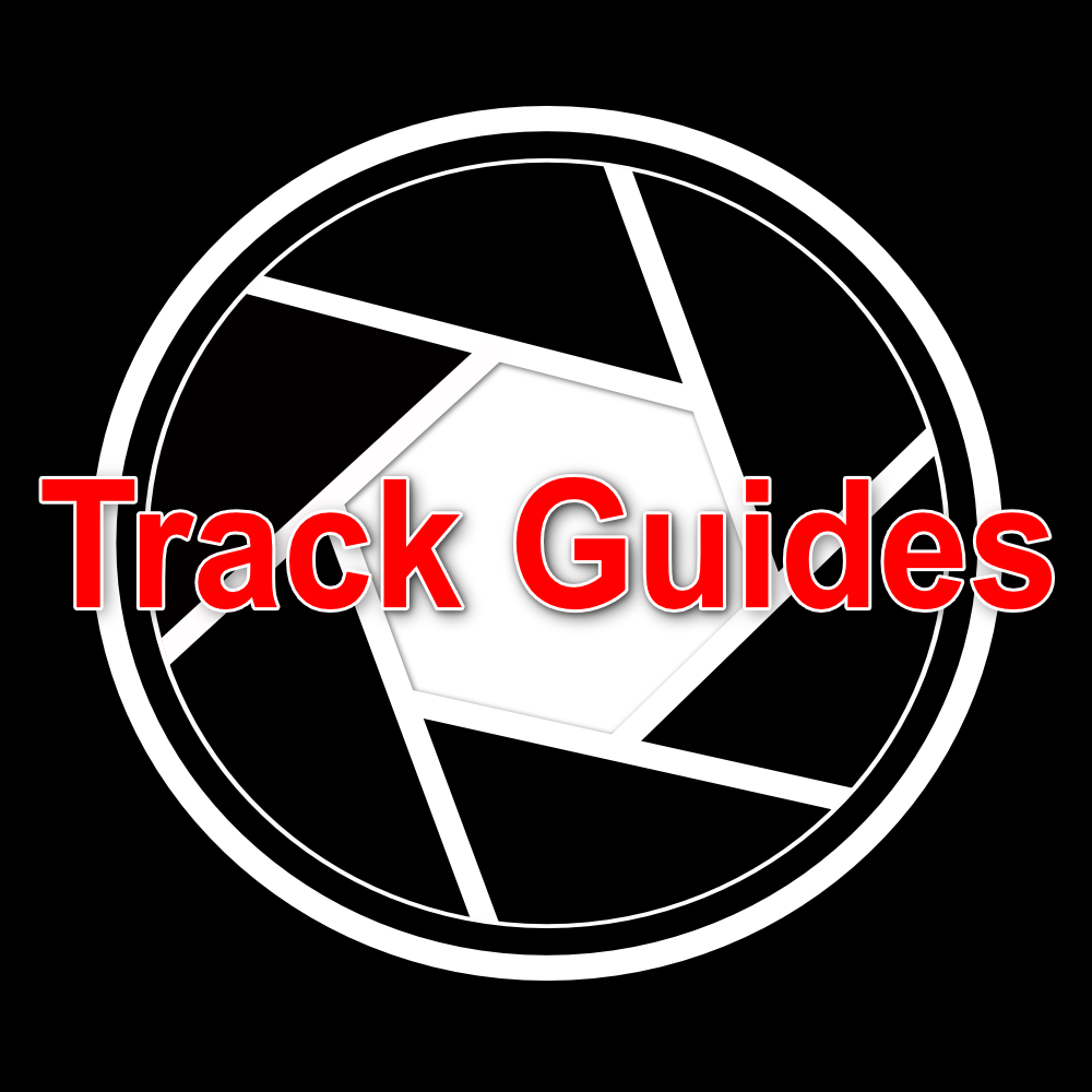 Motorsport track guides