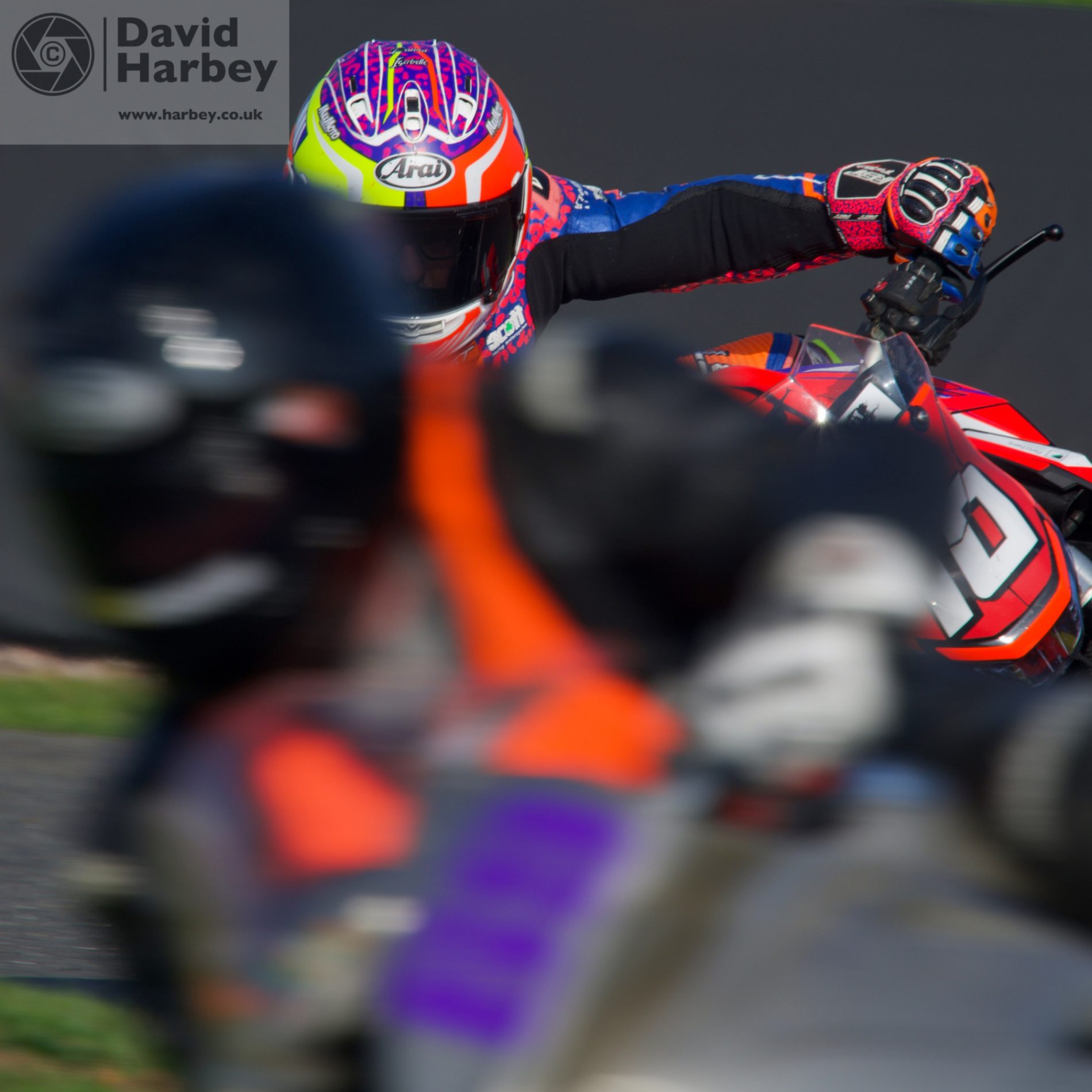 Stars at Darley Moor 