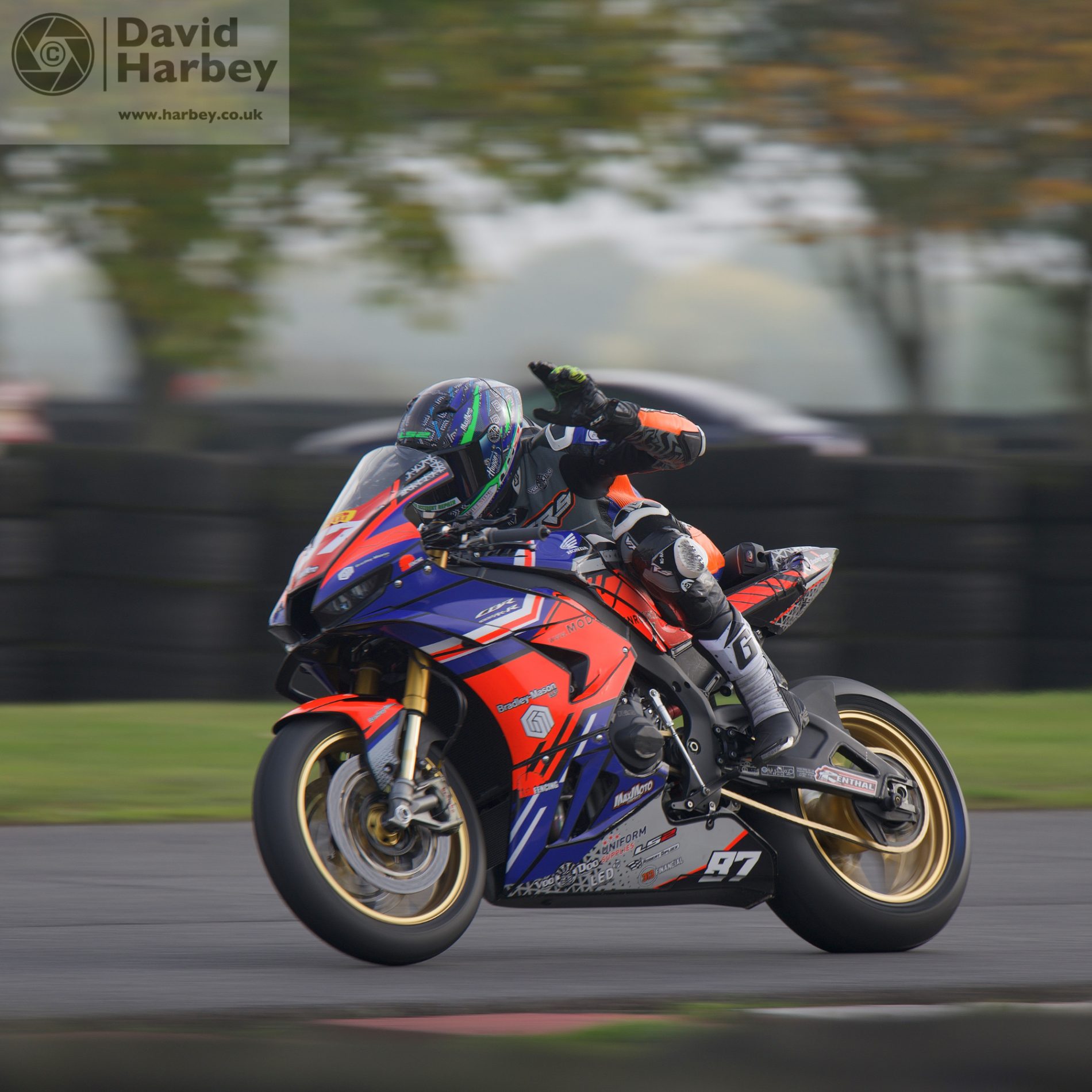 Stars at Darley Moor