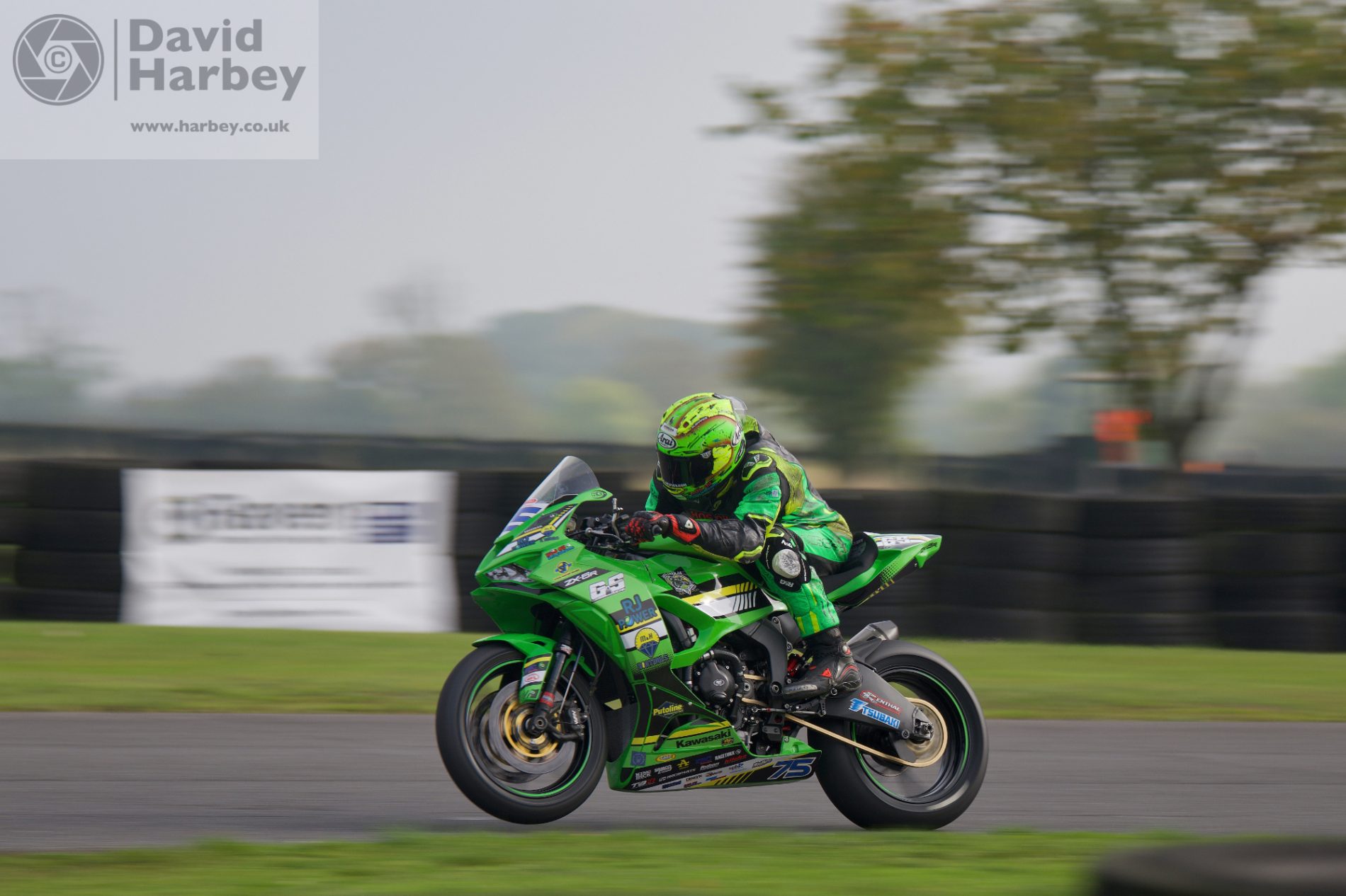 Stars at Darley Moor