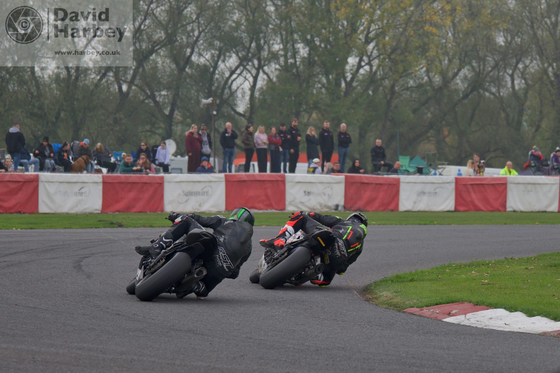 Stars at Darley Moor