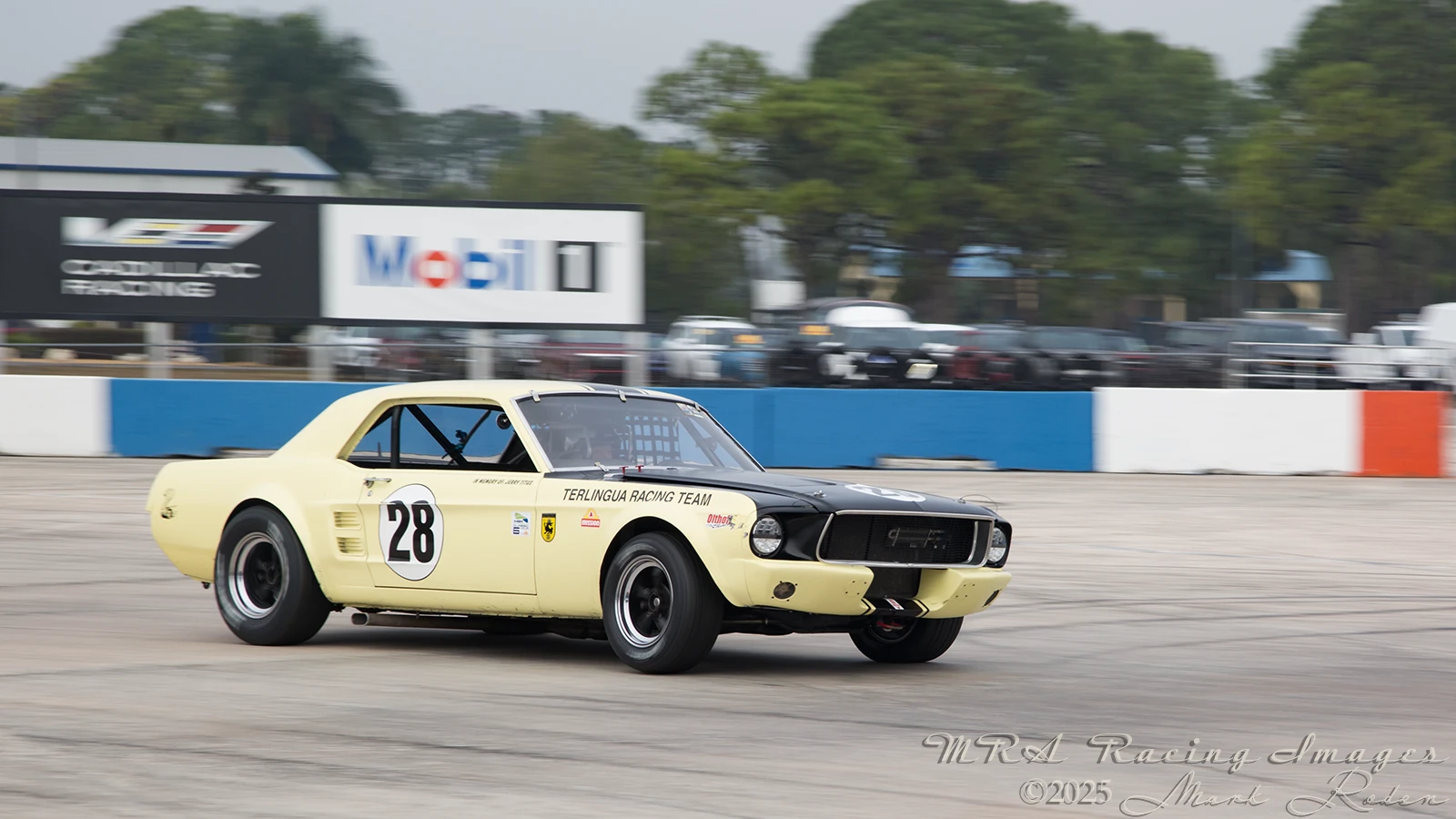John Spiers and Nigel Greensall 1967 Ford Mustang Sebring