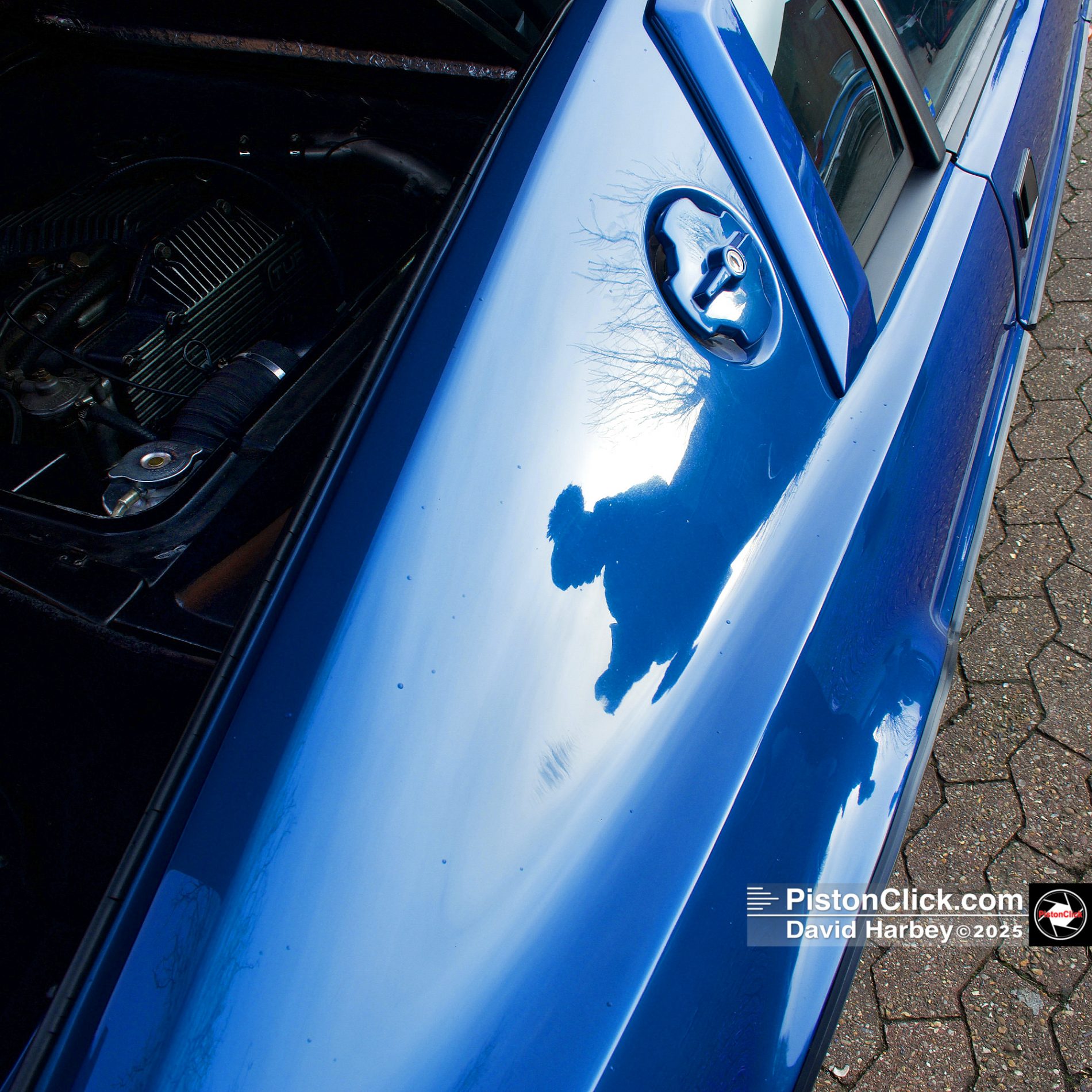 Vintage Stony Car Show