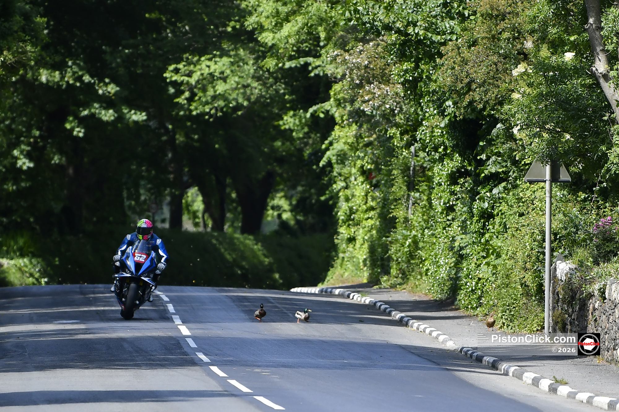 IoM TT ducks on the track