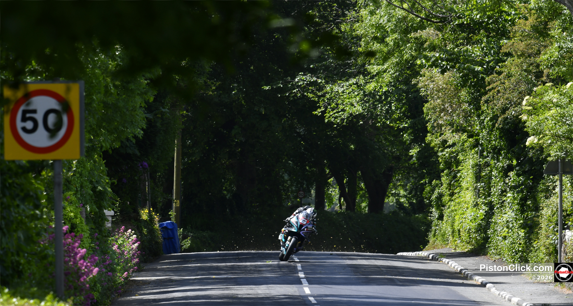 Milntown Viewing Platform Review