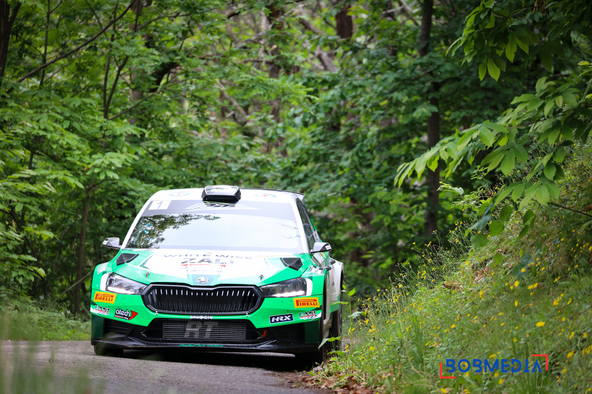 Ivan Carmellino and Max Minazz 47th Rally Valle d’Aosta
