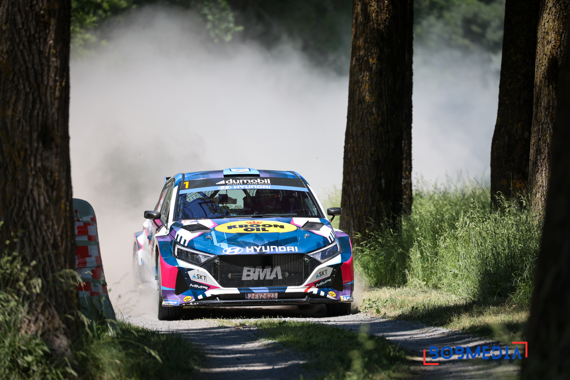 Rallye International du Chablais
