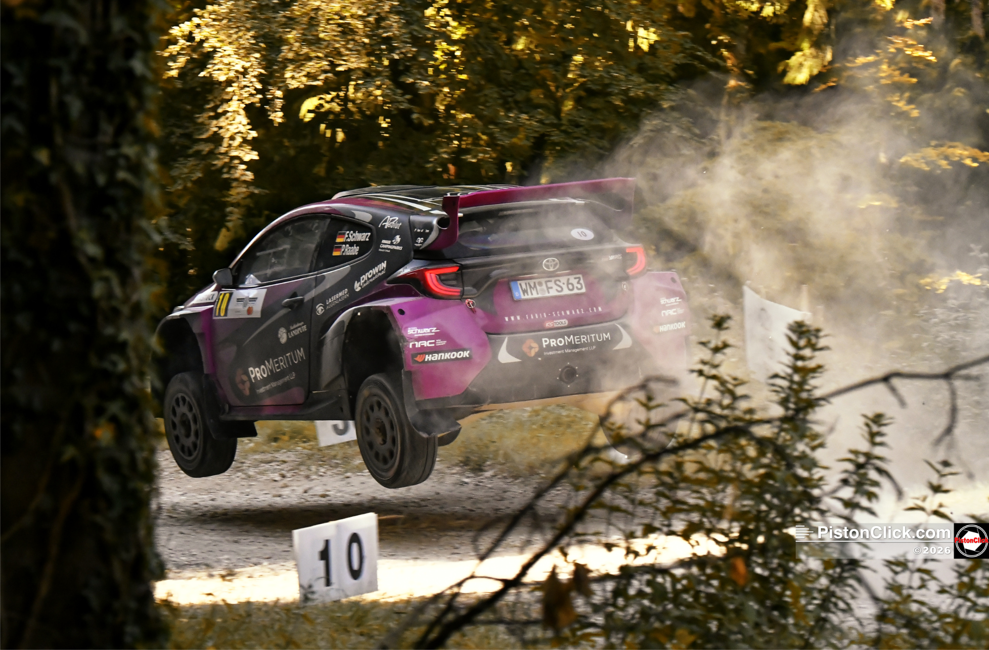 Rally stage Goodwood Festival of Speed