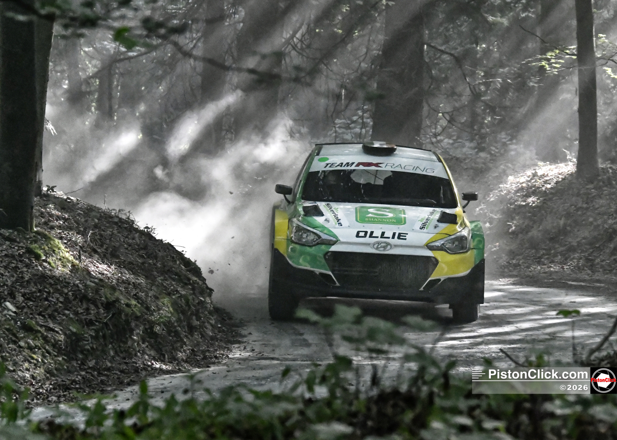 Rally stage Goodwood Festival of Speed